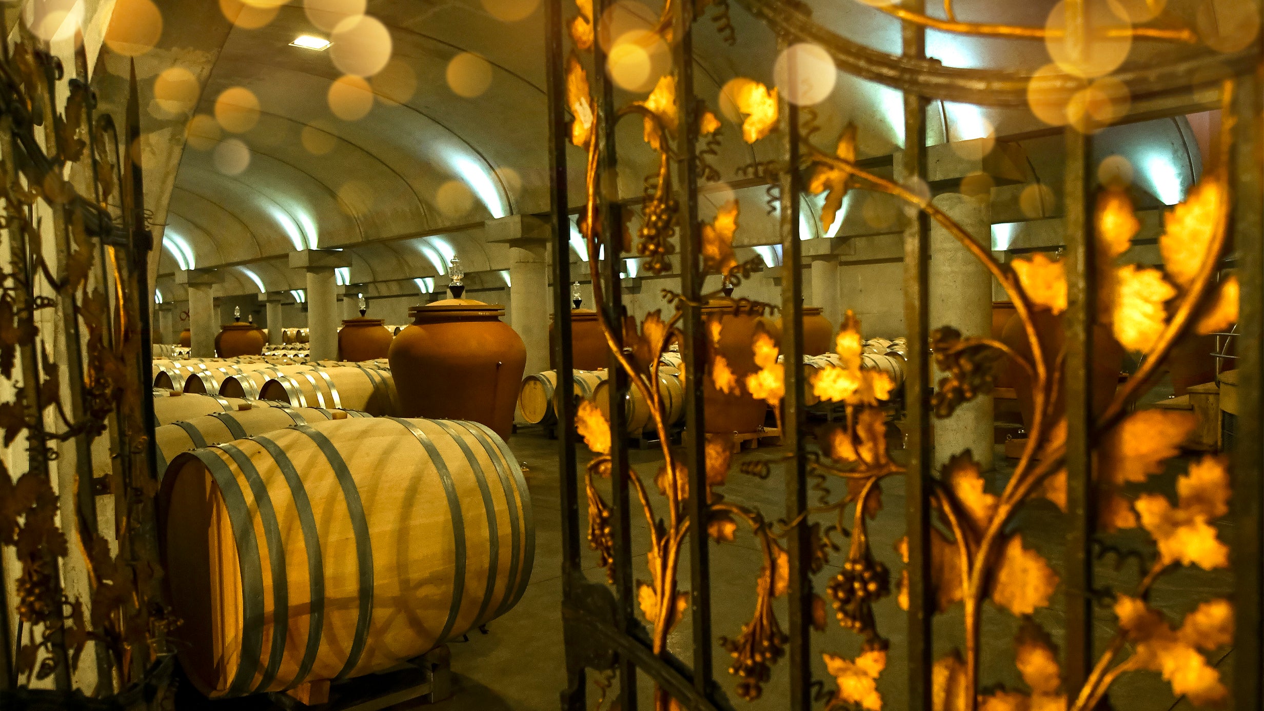 Grands crus Chais Château La Louvière vins rouges