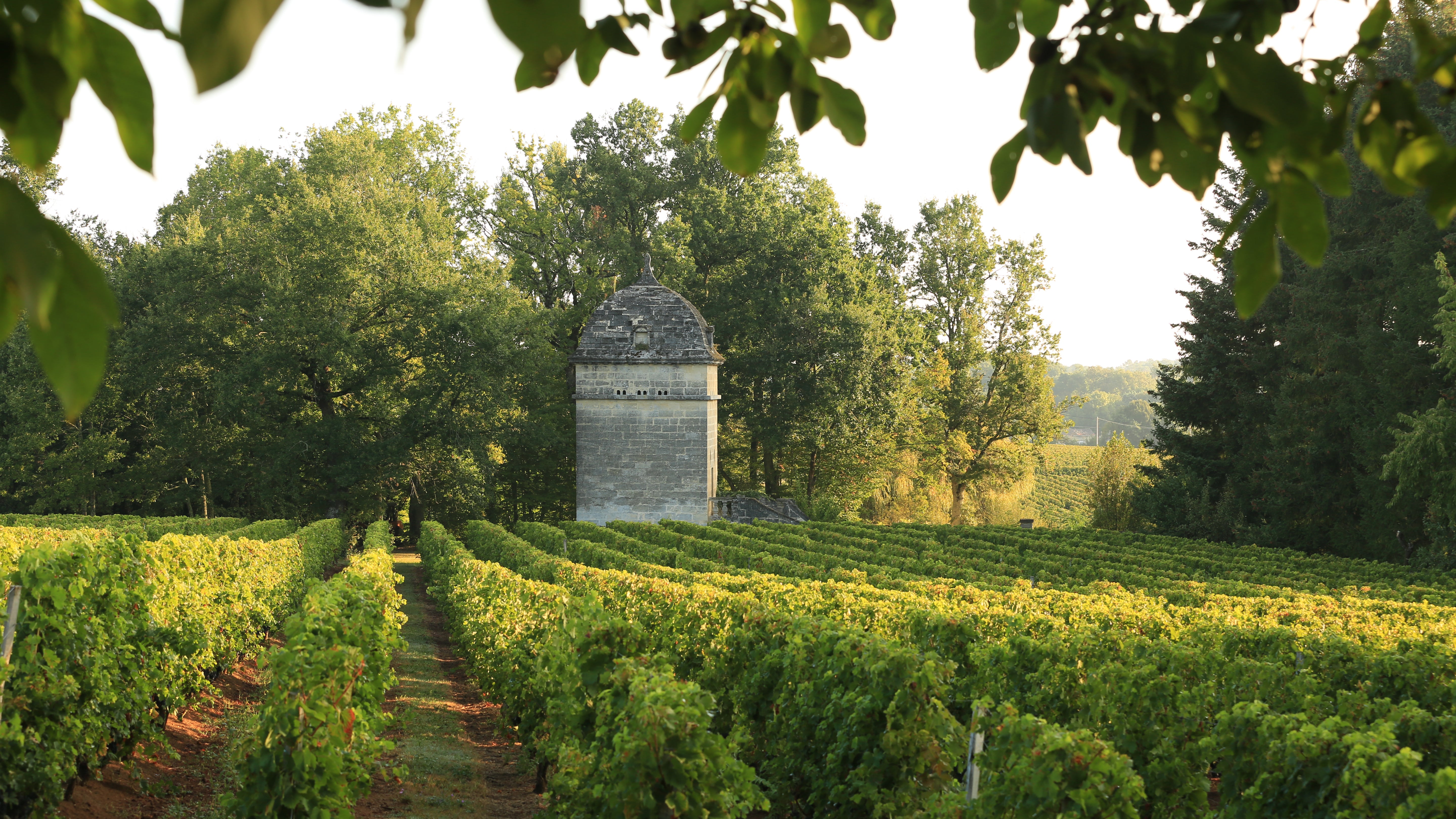 CHÂTEAU TOUR DE SÉGUR