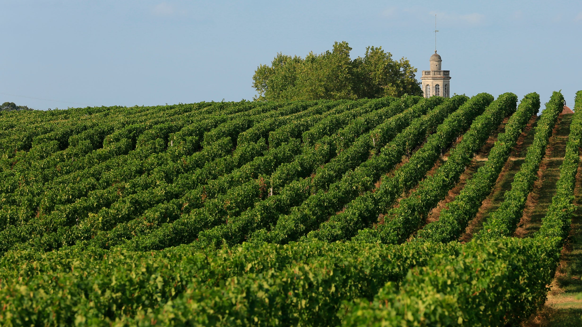 appellation Entre-Deux-Mers Château Bonnet
