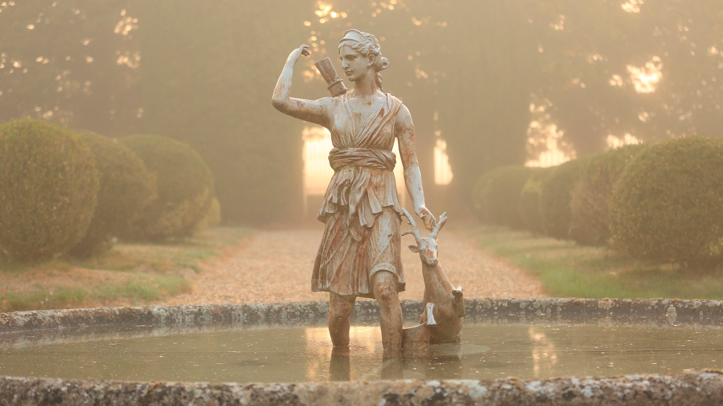 Diane Sémillon Entre-deux-Mers parc Château Bonnet