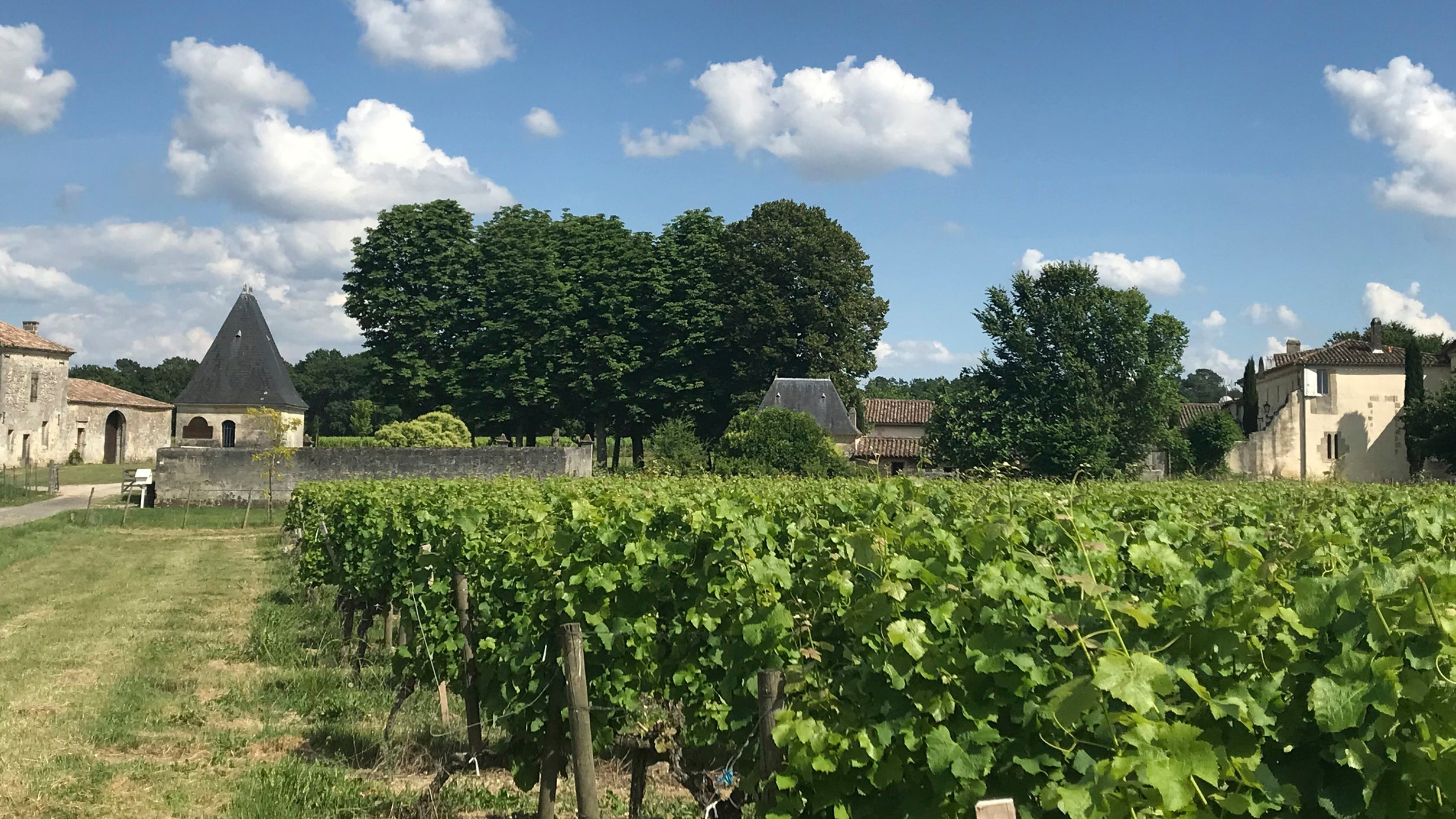 Château Grossombre de Saint-Joseph et son vignoble