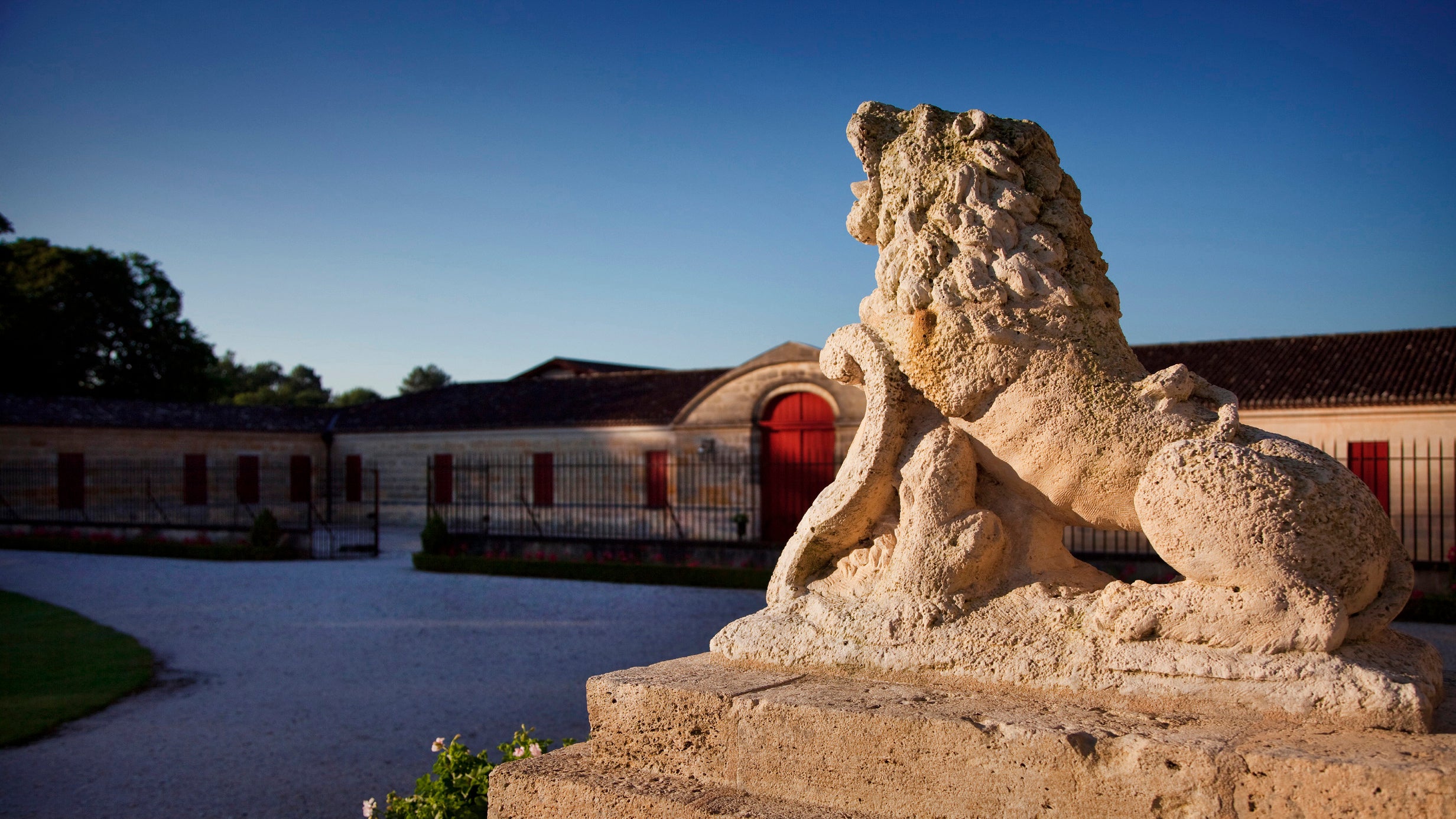 LES LIONS DE LA LOUVIÈRE