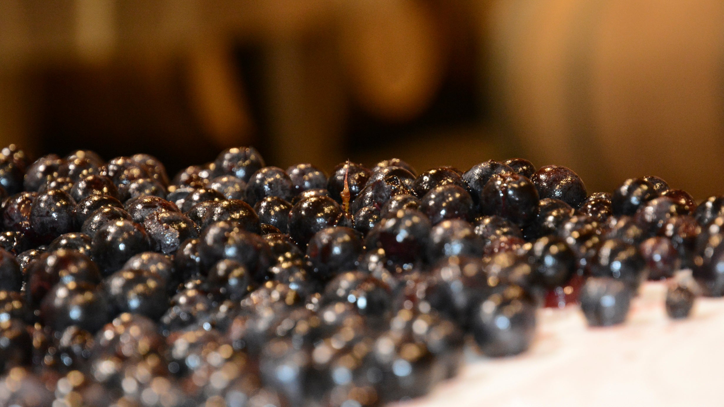tri raisins rouges Haut-Médoc