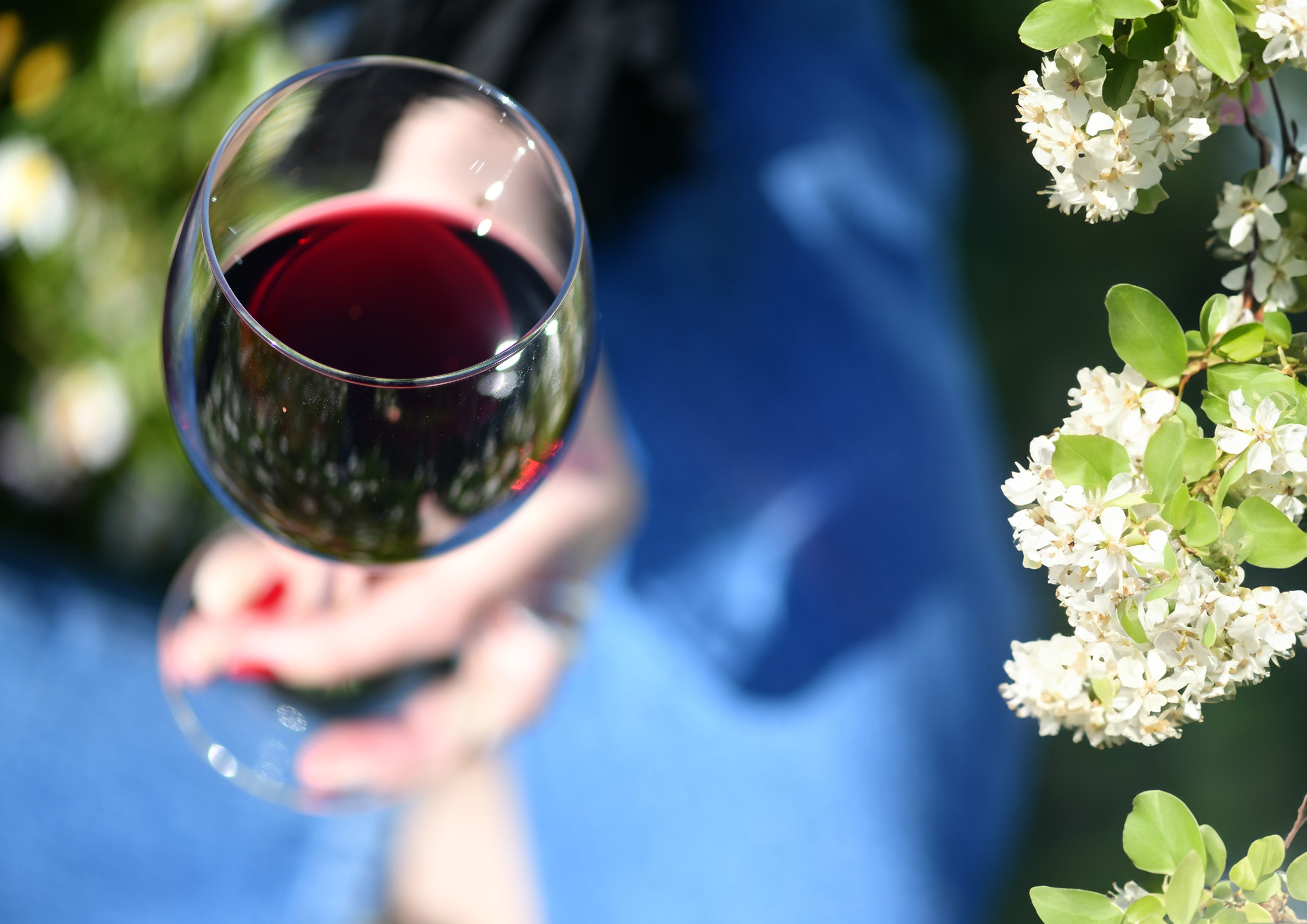 LES VINS DU PRINTEMPS