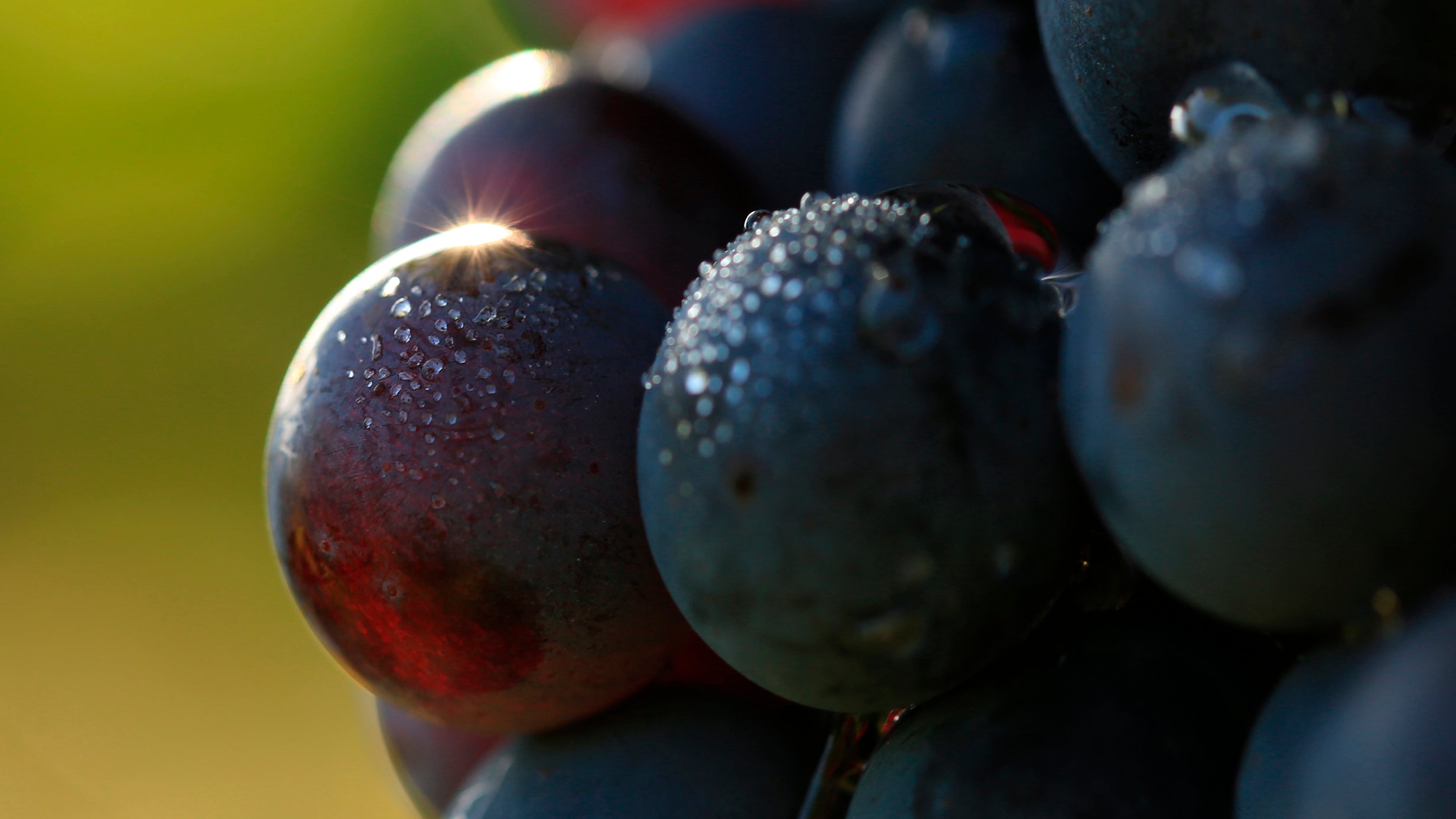 caractères André Lurton