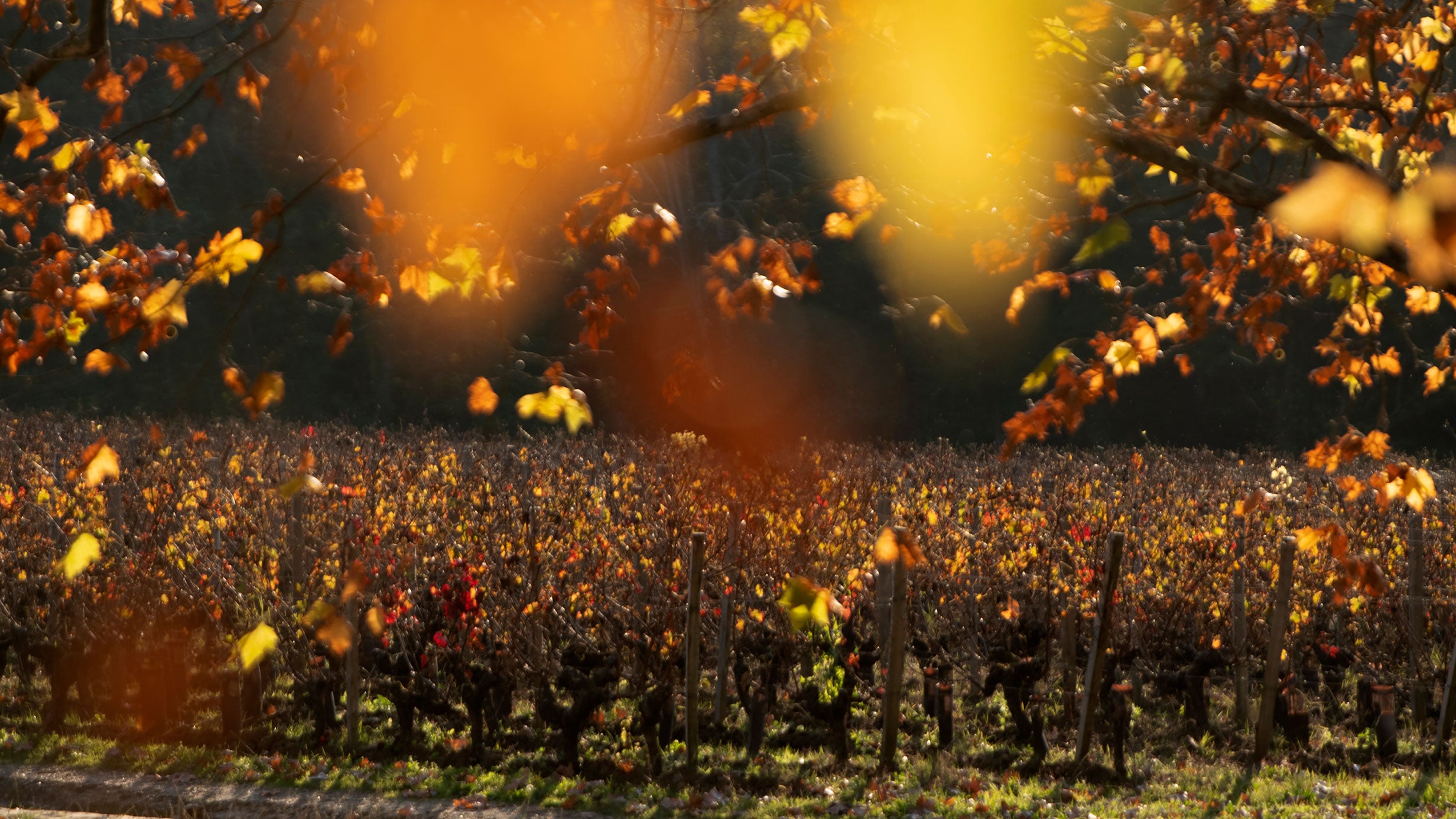 GRAVES SUPÉRIEURES -