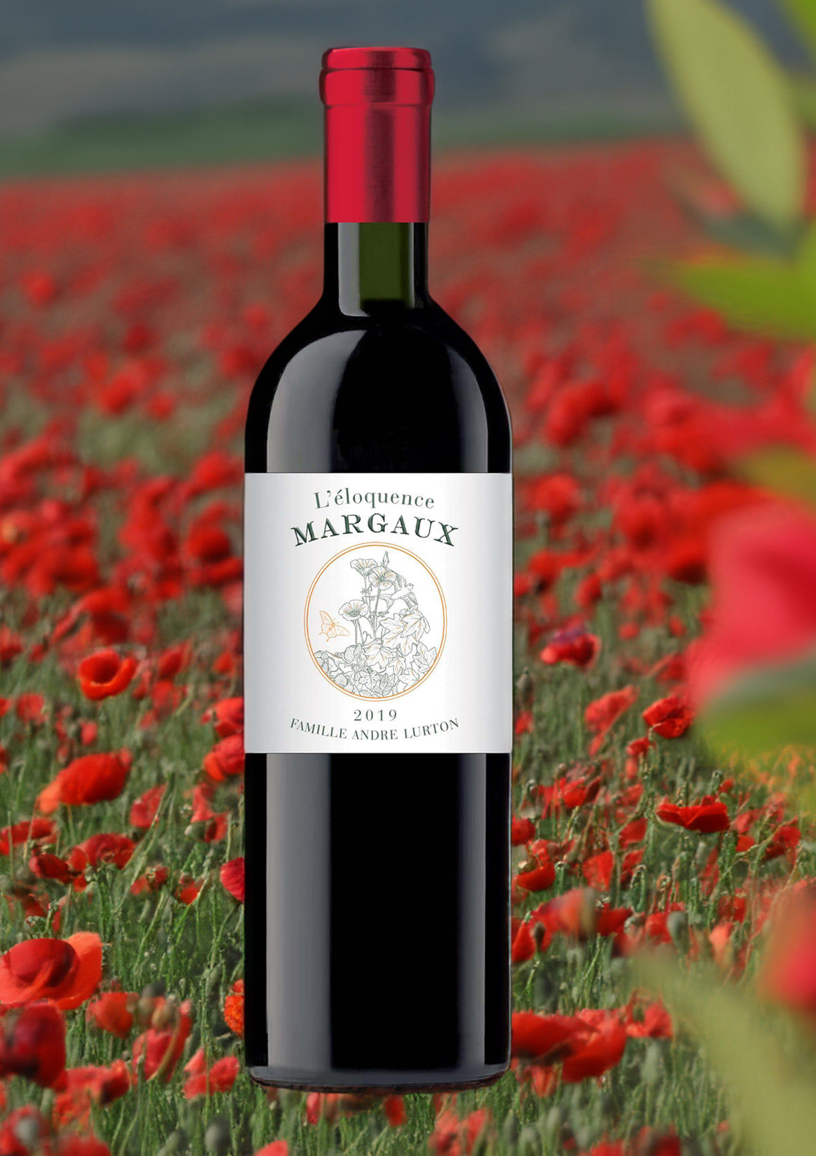 L'ÉLOQUENCE MARGAUX Rouge - Margaux - 2019 - 3 bouteilles x 23,95 €