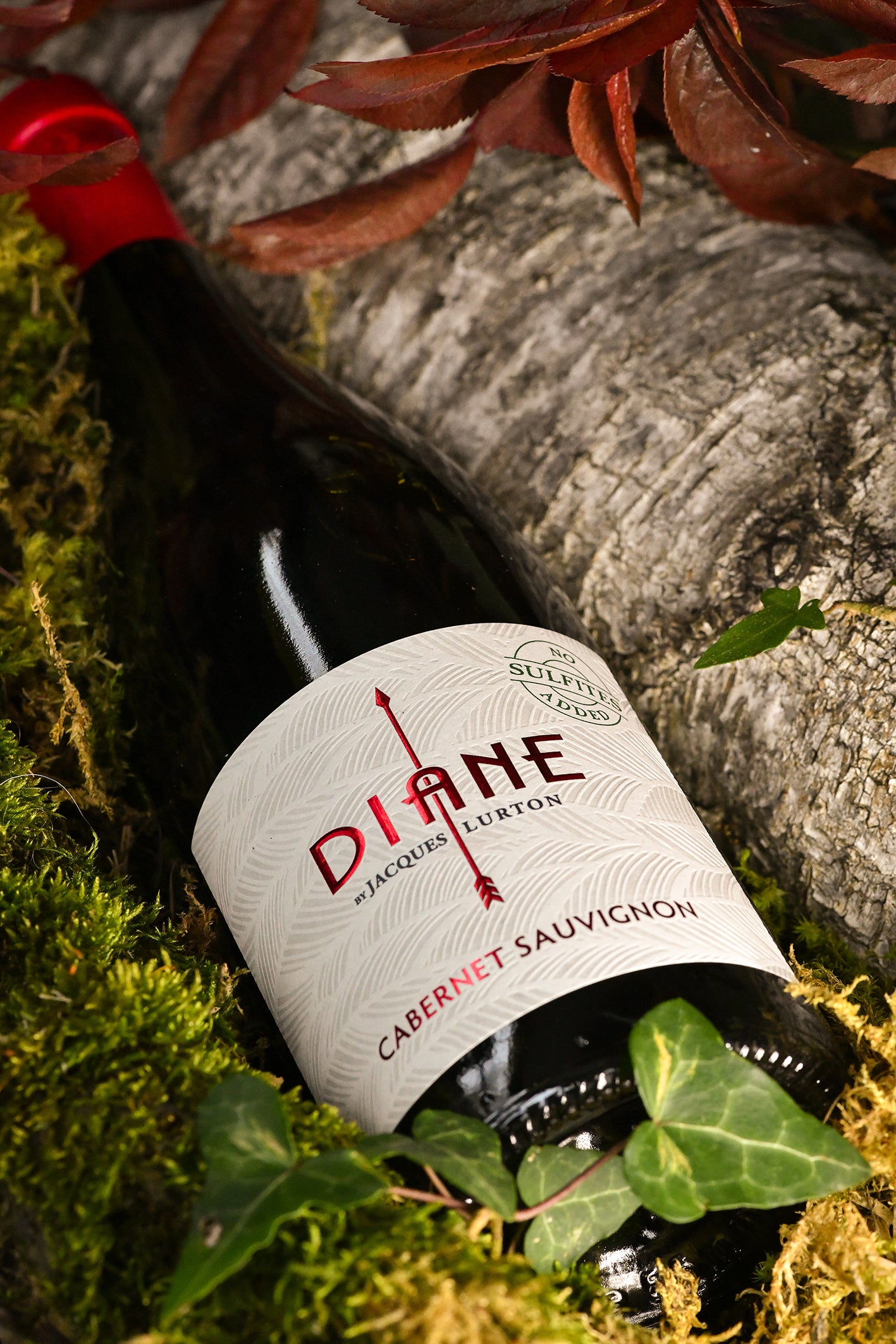 DIANE by Jacques Lurton CABERNET SAUVIGNON - Bordeaux - 2020 - 1 bouteille x 13,50 €